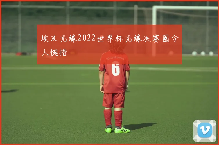 埃及无缘2022世界杯无缘决赛圈令人惋惜