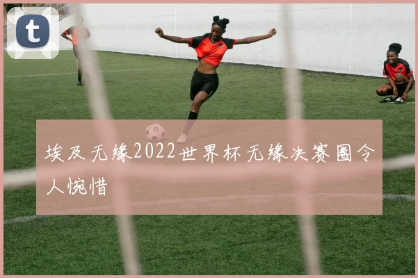 埃及无缘2022世界杯无缘决赛圈令人惋惜