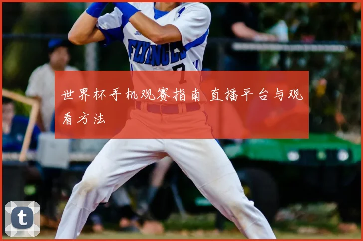 世界杯手机观赛指南 直播平台与观看方法