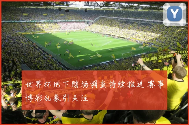 世界杯地下赌场调查持续推进 赛事博彩乱象引关注