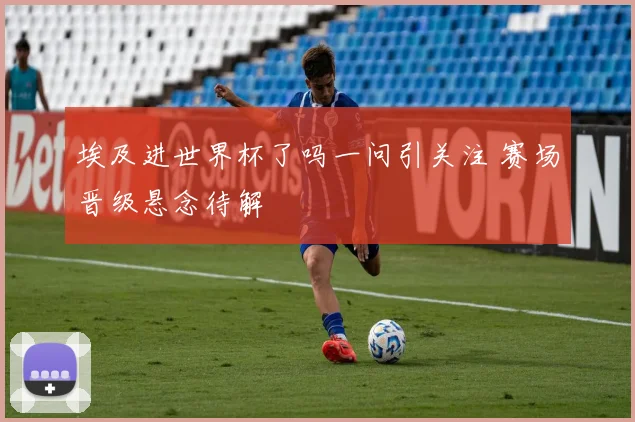 埃及进世界杯了吗一问引关注 赛场晋级悬念待解