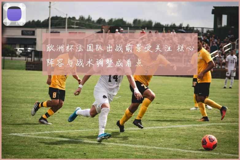 欧洲杯法国队出战前景受关注 核心阵容与战术调整成看点