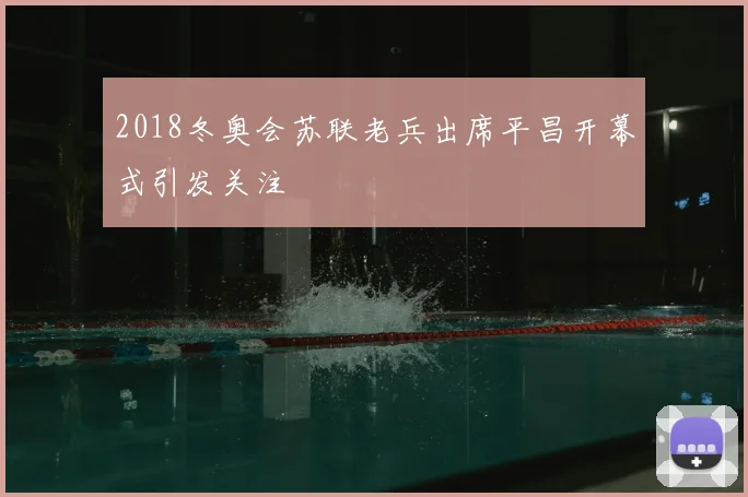 2018冬奥会苏联老兵出席平昌开幕式引发关注