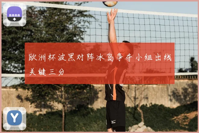 欧洲杯波黑对阵冰岛争夺小组出线关键三分