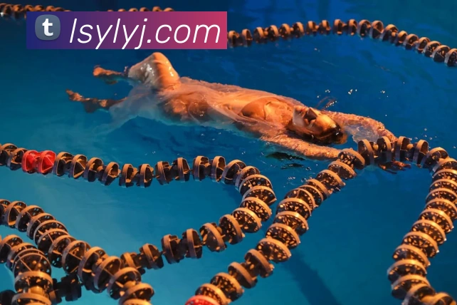 多媒体互动体验